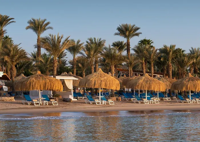 Jaz Fayrouz Resort Şarm El-Şeyh